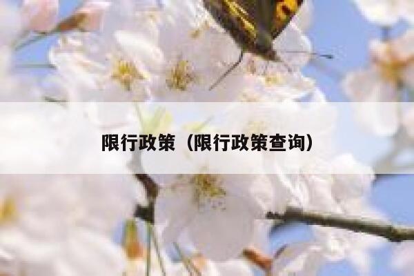 限行政策（限行政策查询）  第1张