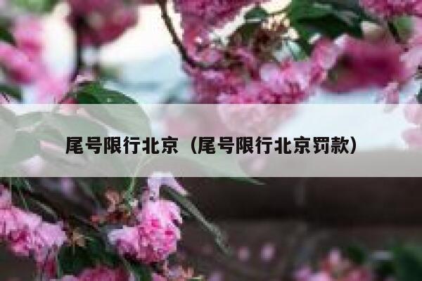 尾号限行北京（尾号限行北京罚款）  第1张