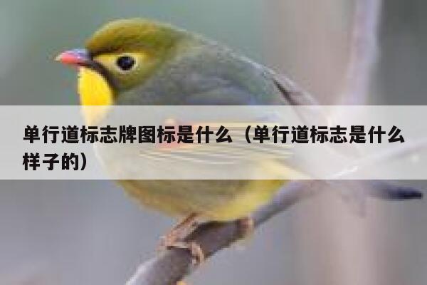 单行道标志牌图标是什么（单行道标志是什么样子的）  第1张