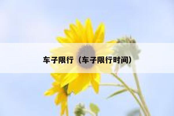车子限行（车子限行时间）  第1张