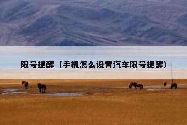 限号提醒（手机怎么设置汽车限号提醒）  第1张