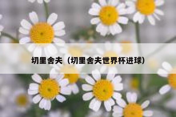 切里舍夫（切里舍夫世界杯进球）  第1张