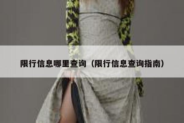限行信息哪里查询（限行信息查询指南）  第1张