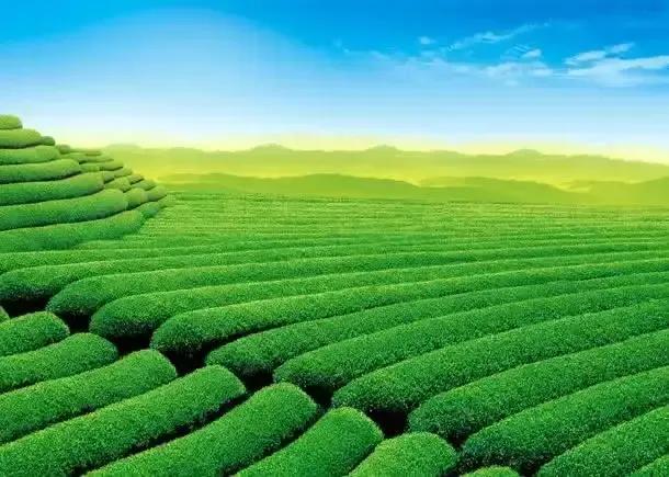 考上什么样的大学，才“有资格”办升学宴？ 第4张