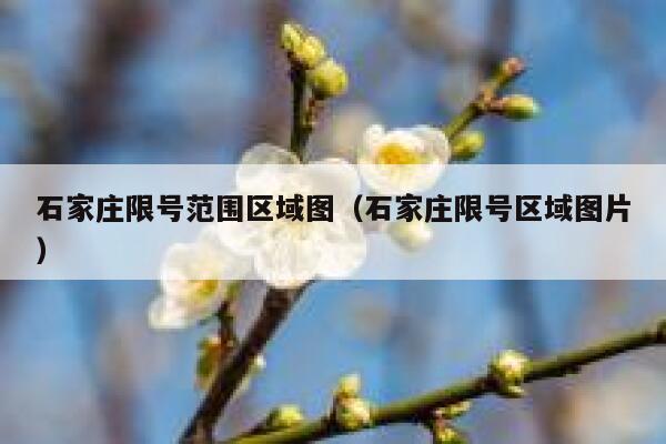 石家庄限号范围区域图（石家庄限号区域图片）  第1张