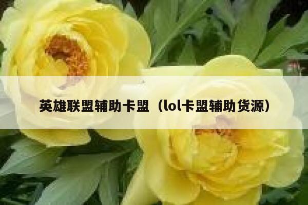 英雄联盟辅助卡盟（lol卡盟辅助货源）  第1张