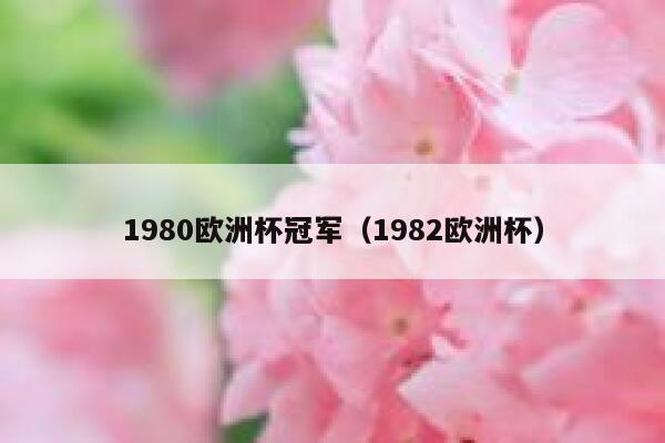 1980欧洲杯冠军（1982欧洲杯）  第1张