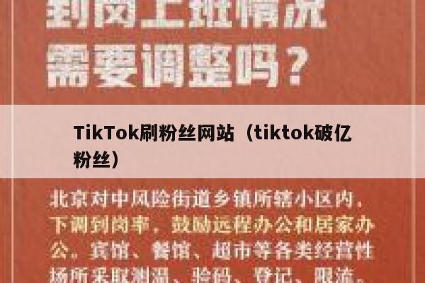 TikTok刷粉丝网站（tiktok破亿粉丝）  第1张