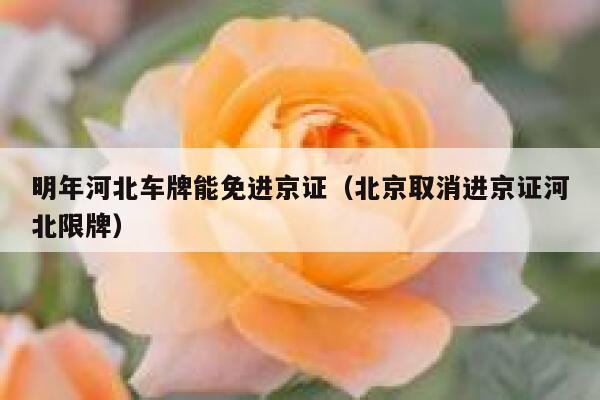 明年河北车牌能免进京证（北京取消进京证河北限牌）  第1张
