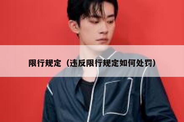 限行规定（违反限行规定如何处罚）  第1张
