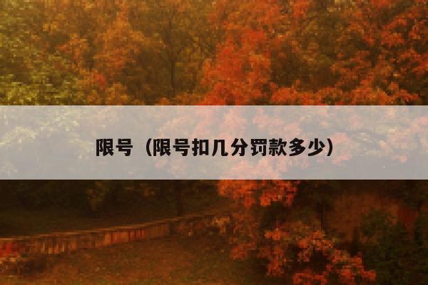 限号（限号扣几分罚款多少）  第1张