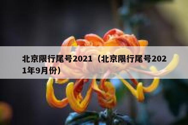 北京限行尾号2021（北京限行尾号2021年9月份）  第1张