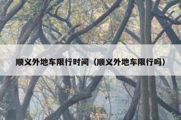 顺义外地车限行时间（顺义外地车限行吗）  第1张