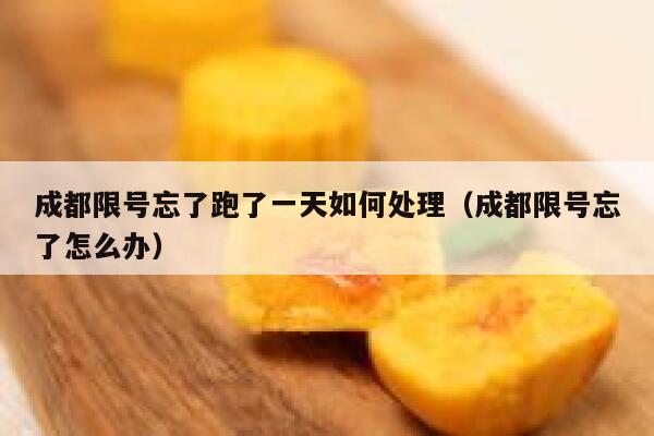 成都限号忘了跑了一天如何处理（成都限号忘了怎么办）  第1张