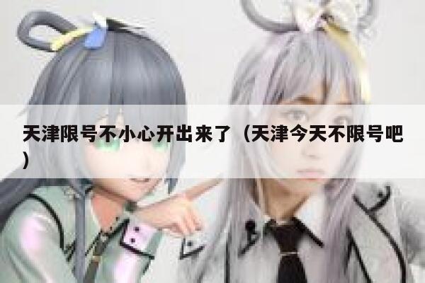 天津限号不小心开出来了（天津今天不限号吧）  第1张