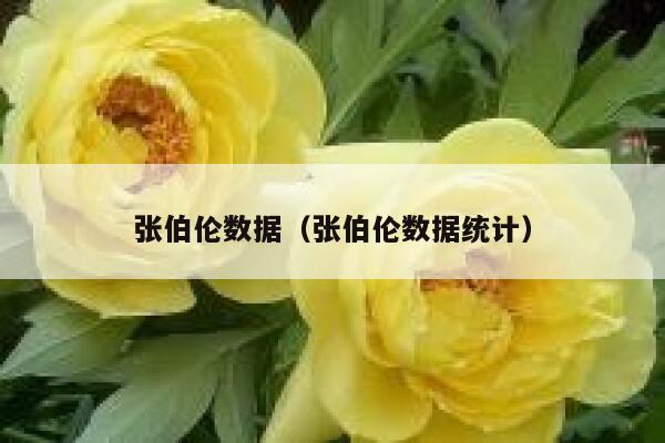 张伯伦数据（张伯伦数据统计）  第1张