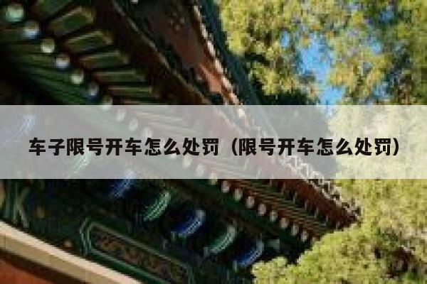 车子限号开车怎么处罚（限号开车怎么处罚）  第1张