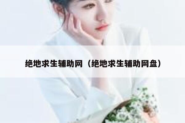 绝地求生辅助网（绝地求生辅助网盘）  第1张