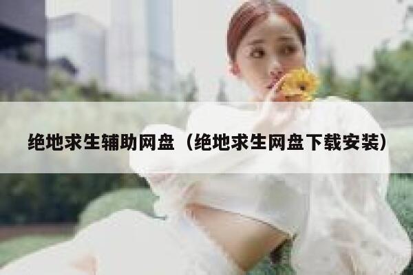 绝地求生辅助网盘（绝地求生网盘下载安装）  第1张