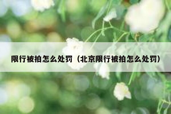 限行被拍怎么处罚（北京限行被拍怎么处罚）  第1张