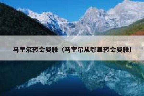 马奎尔转会曼联（马奎尔从哪里转会曼联）  第1张