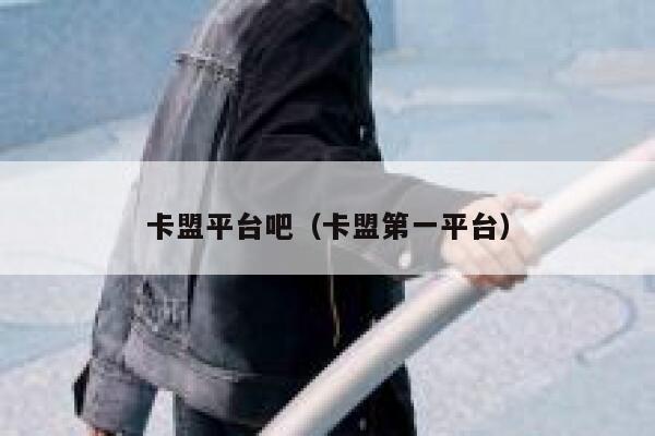 卡盟平台吧（卡盟第一平台）  第1张