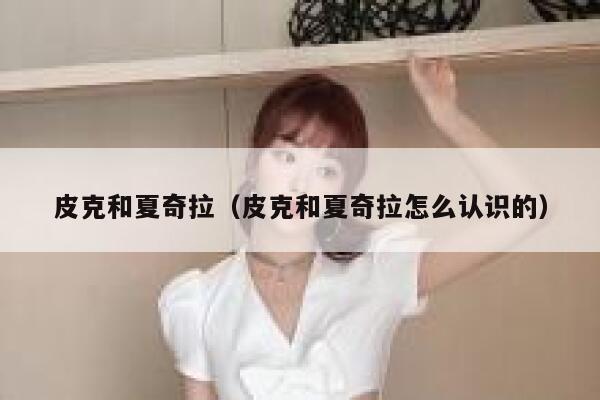 皮克和夏奇拉（皮克和夏奇拉怎么认识的）  第1张