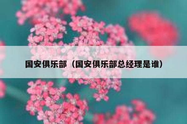 国安俱乐部（国安俱乐部总经理是谁）  第1张