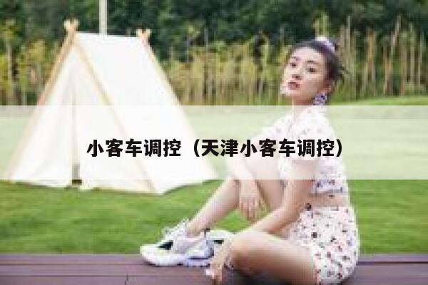 小客车调控（天津小客车调控）  第1张