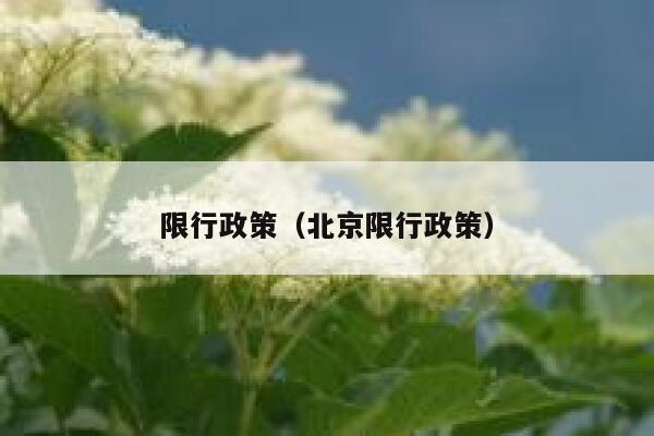 限行政策（北京限行政策）  第1张