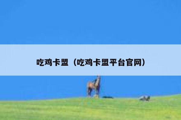 吃鸡卡盟（吃鸡卡盟平台官网）  第1张