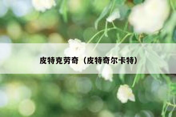 皮特克劳奇（皮特奇尔卡特）  第1张