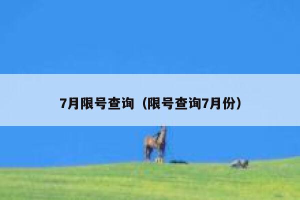 7月限号查询（限号查询7月份）  第1张
