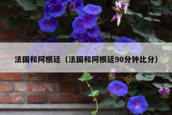 法国和阿根廷（法国和阿根廷90分钟比分）  第1张
