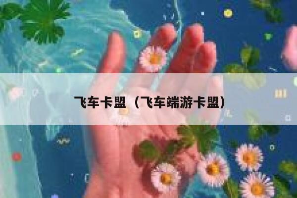 飞车卡盟（飞车端游卡盟）  第1张