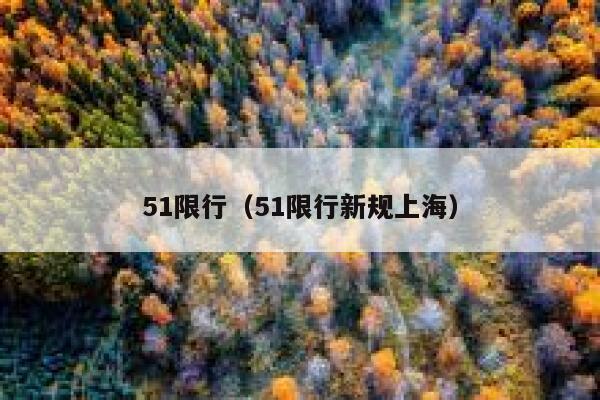 51限行（51限行新规上海）  第1张