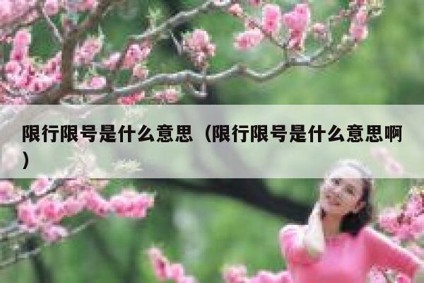 限行限号是什么意思（限行限号是什么意思啊）  第1张