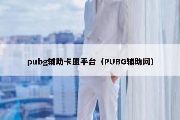 pubg辅助卡盟平台（PUBG辅助网）  第1张