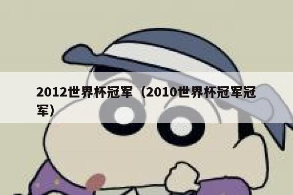 2012世界杯冠军（2010世界杯冠军冠军）  第1张