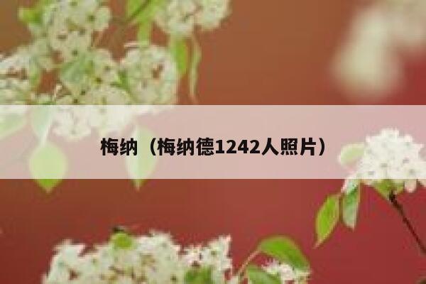 梅纳（梅纳德1242人照片）  第1张