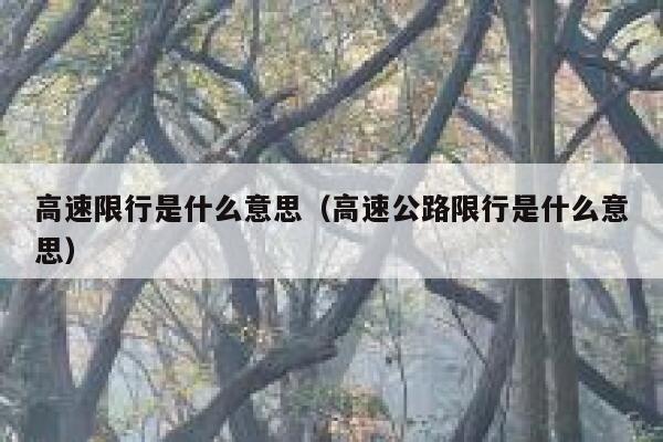 高速限行是什么意思（高速公路限行是什么意思）  第1张