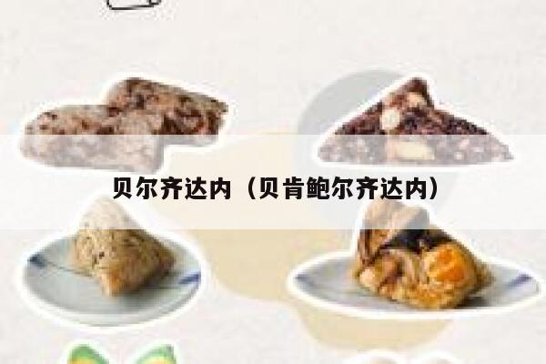 贝尔齐达内（贝肯鲍尔齐达内）  第1张