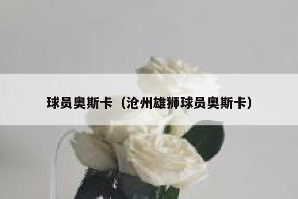 球员奥斯卡（沧州雄狮球员奥斯卡）  第1张