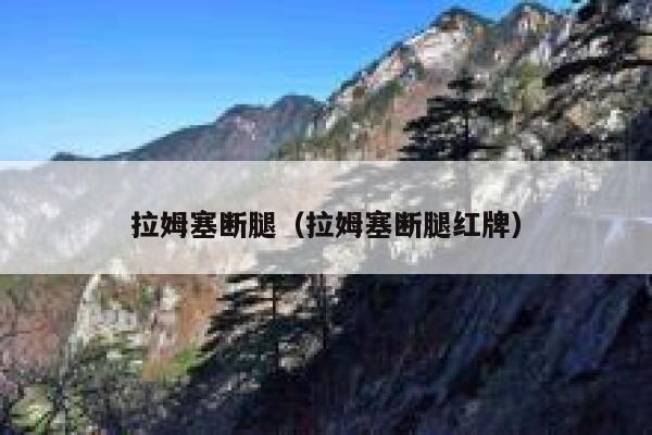 拉姆塞断腿（拉姆塞断腿红牌）  第1张