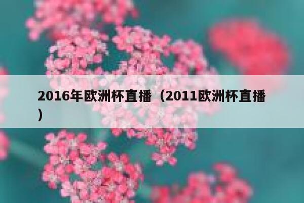2016年欧洲杯直播（2011欧洲杯直播）  第1张
