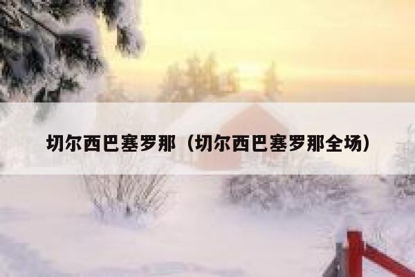 切尔西巴塞罗那（切尔西巴塞罗那全场）  第1张