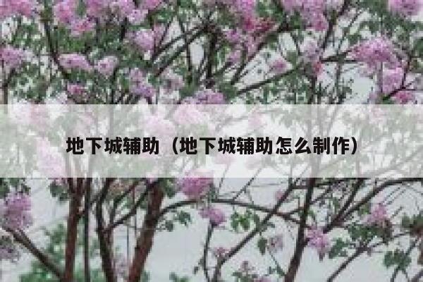 地下城辅助（地下城辅助怎么制作）  第1张
