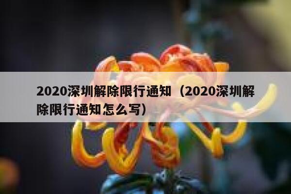 2020深圳解除限行通知（2020深圳解除限行通知怎么写）  第1张