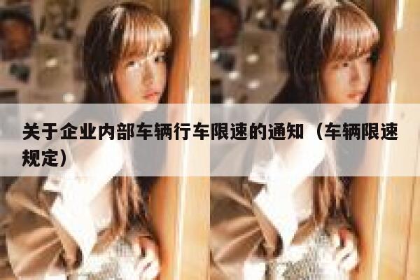 关于企业内部车辆行车限速的通知（车辆限速规定）  第1张