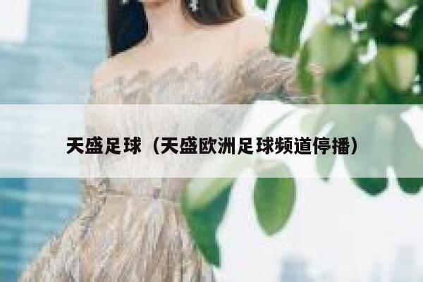 天盛足球（天盛欧洲足球频道停播）  第1张